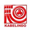 kabelindo-100x100